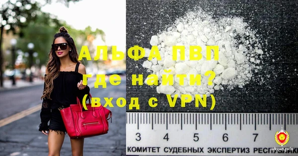 ГАЛЛЮЦИНОГЕННЫЕ ГРИБЫ Белокуриха