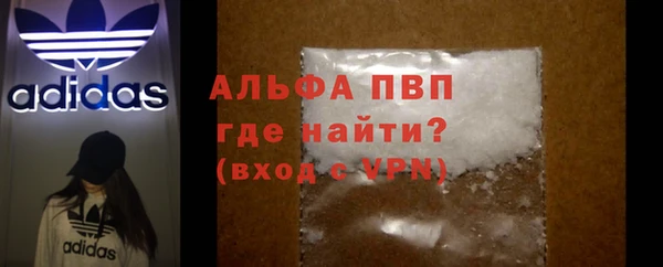 ГАЛЛЮЦИНОГЕННЫЕ ГРИБЫ Белокуриха