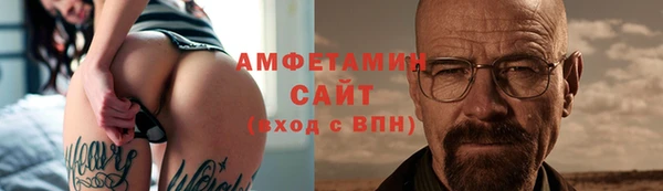 ГАЛЛЮЦИНОГЕННЫЕ ГРИБЫ Белокуриха