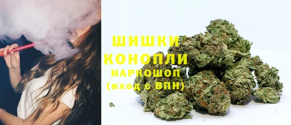 ГАЛЛЮЦИНОГЕННЫЕ ГРИБЫ Белокуриха