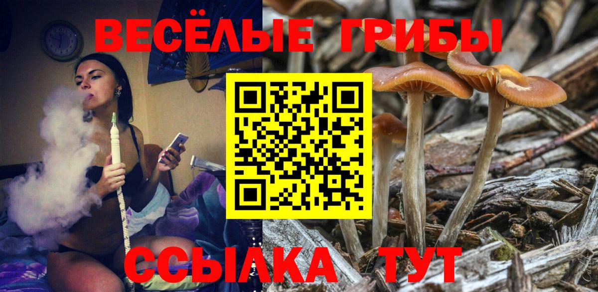 Псилоцибиновые грибы Psilocybine cubensis  Вход с VPN  Беслан 